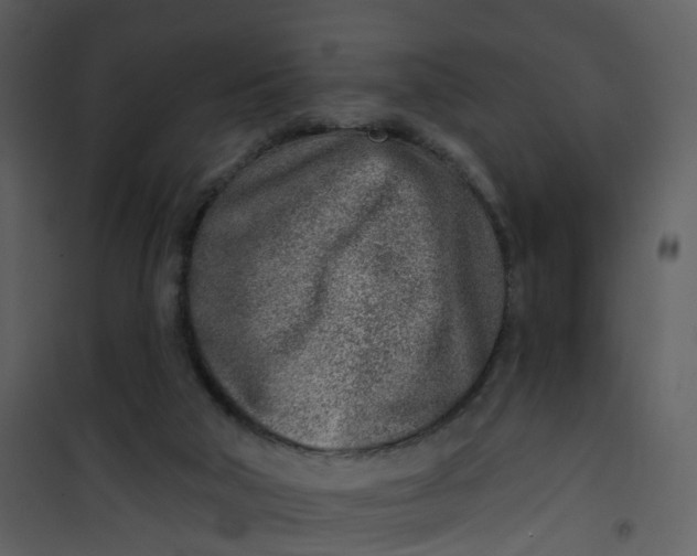 X0000101180018200807181458