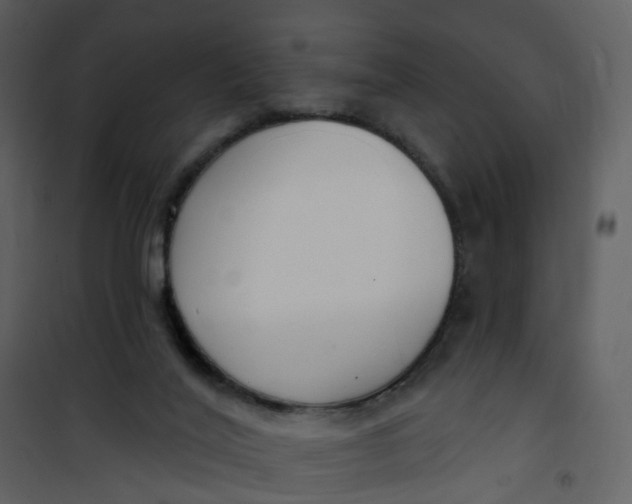 X0000101180020200807181458