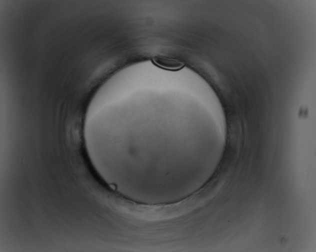 X0000101180023200807181458