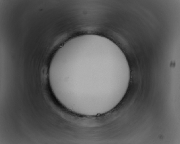 X0000101180024200807181458