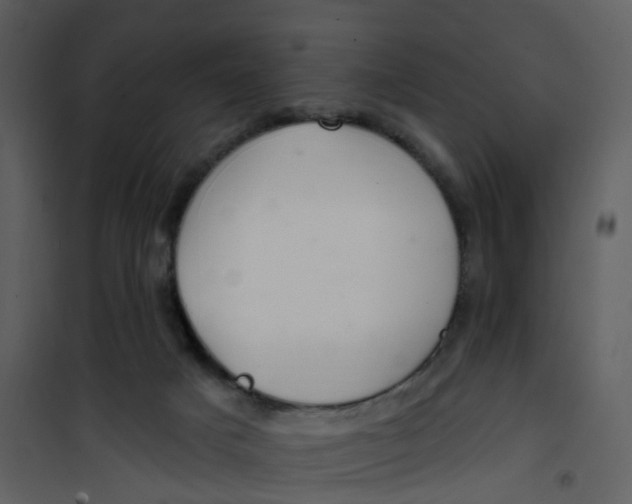 X0000101180025200807181458