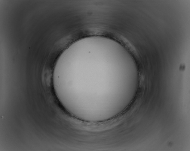 X0000101180026200807181458