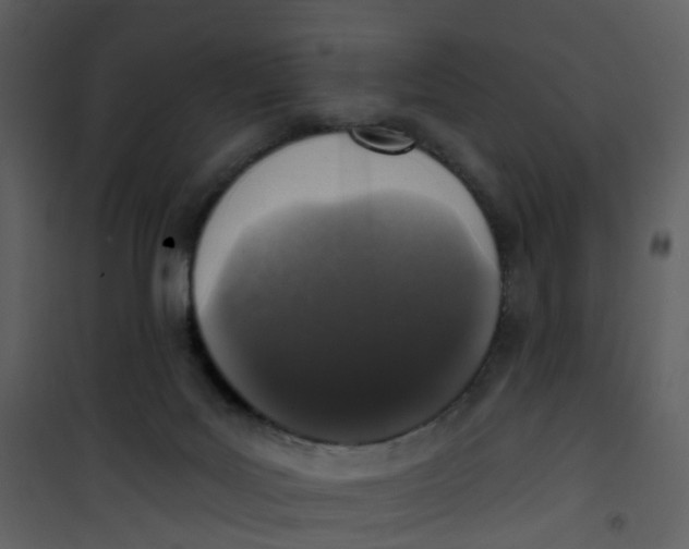 X0000101180027200807181458