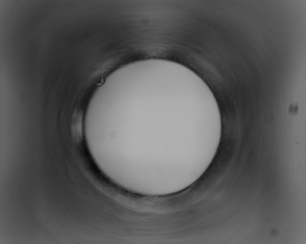 X0000101180028200807181458