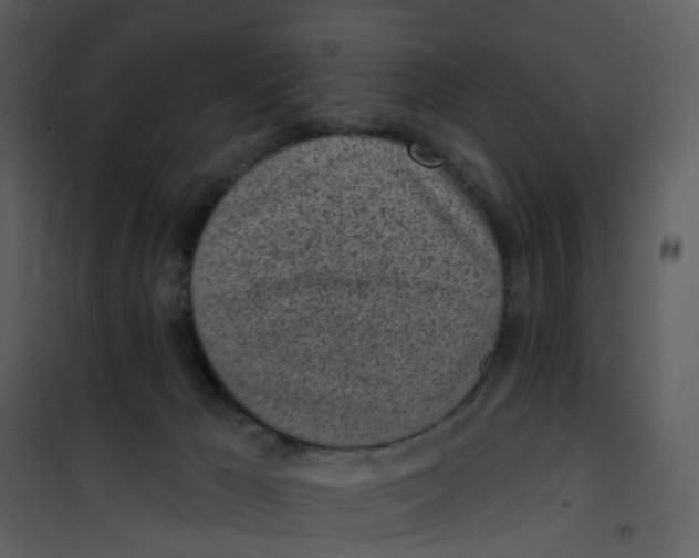 X0000101180029200807181458