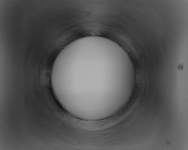 X0000101180030200807181458