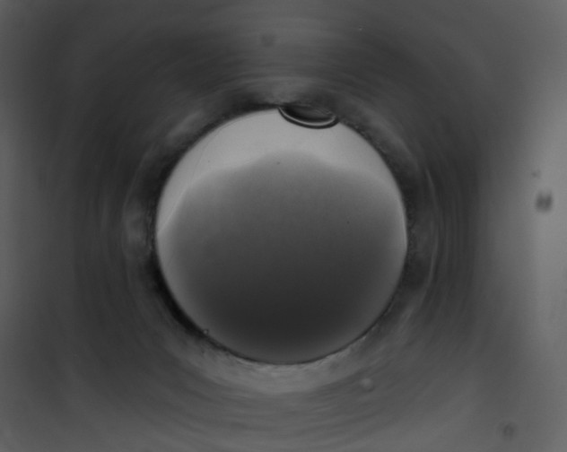 X0000101180031200807181458