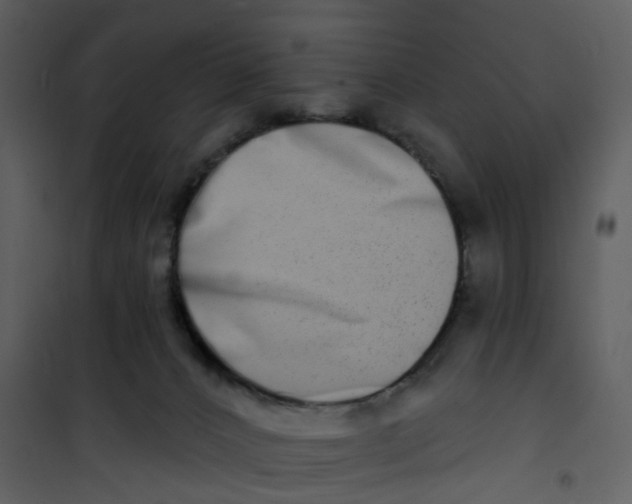 X0000101180032200807181458