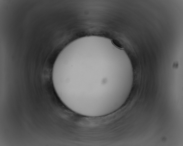 X0000101180033200807181458