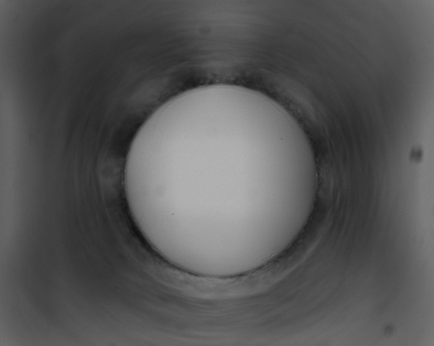 X0000101180034200807181458