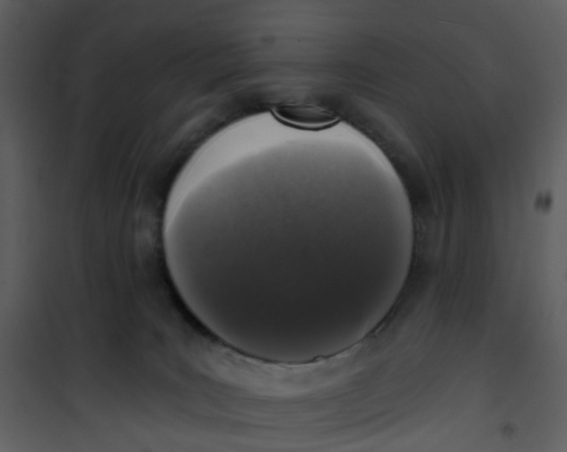 X0000101180035200807181458