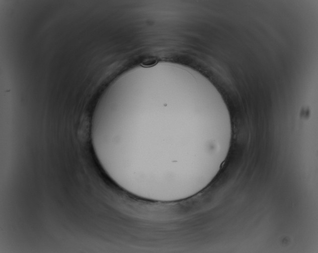 X0000101180036200807181458