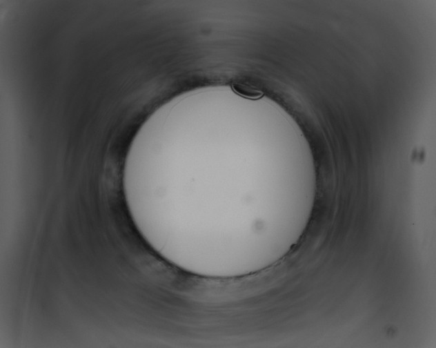 X0000101180037200807181458