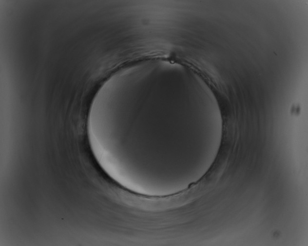 X0000101180039200807181458