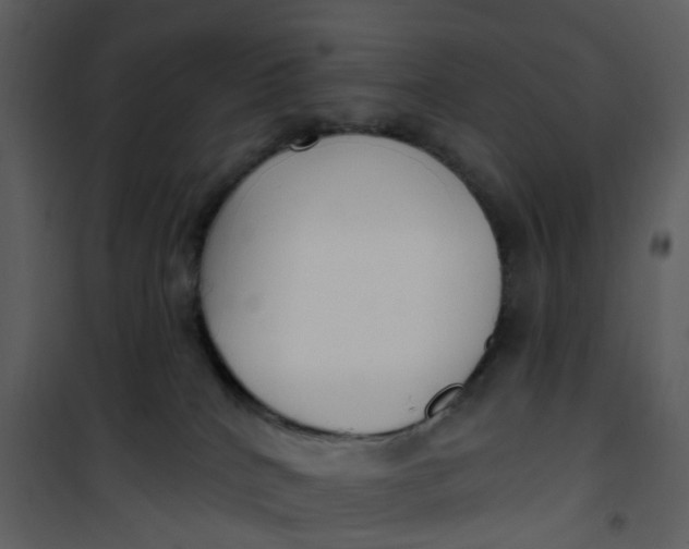 X0000101180040200807181458