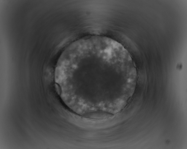 X0000101180043200807181458