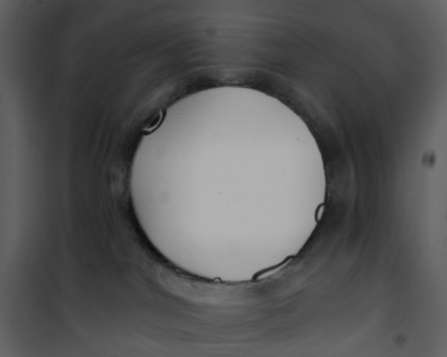 X0000101180044200807181458