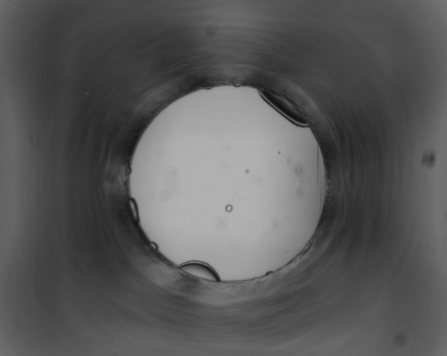 X0000101180045200807181458