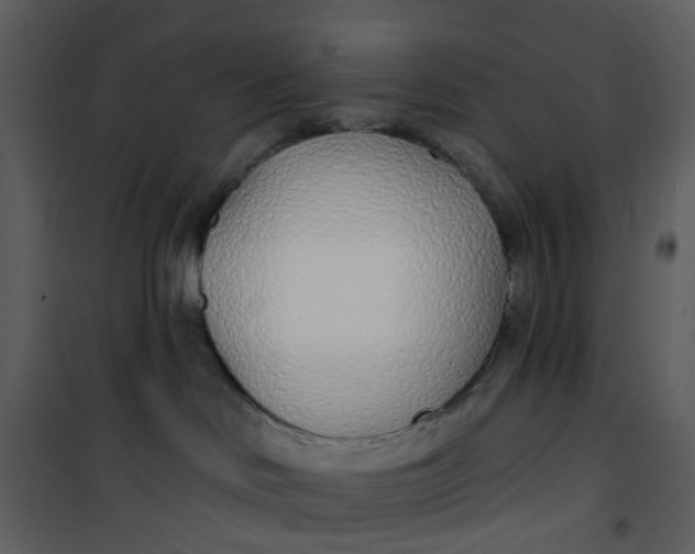 X0000101180046200807181458