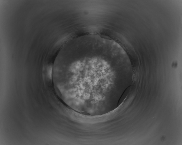 X0000101180047200807181458