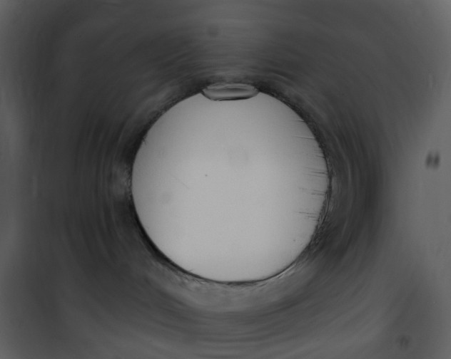 X0000101180048200807181458