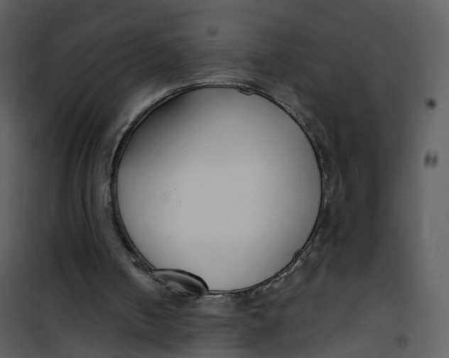 X0000101180050200807181457