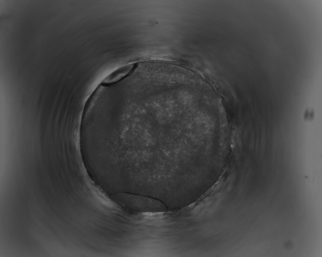 X0000101180052200807181457