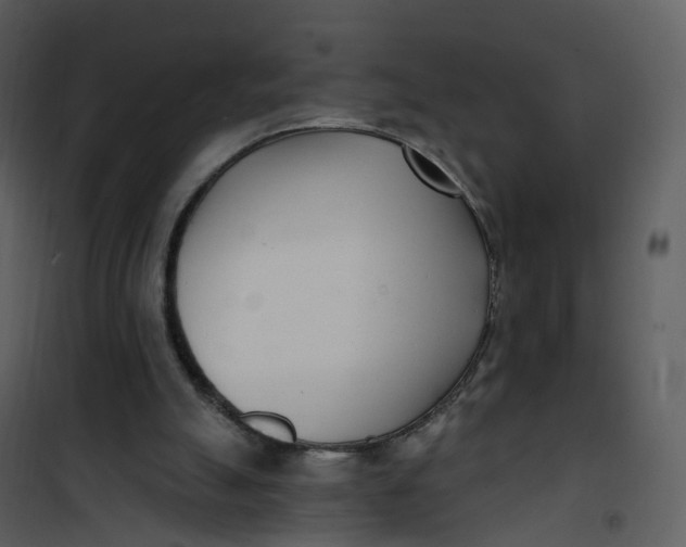 X0000101180055200807181457