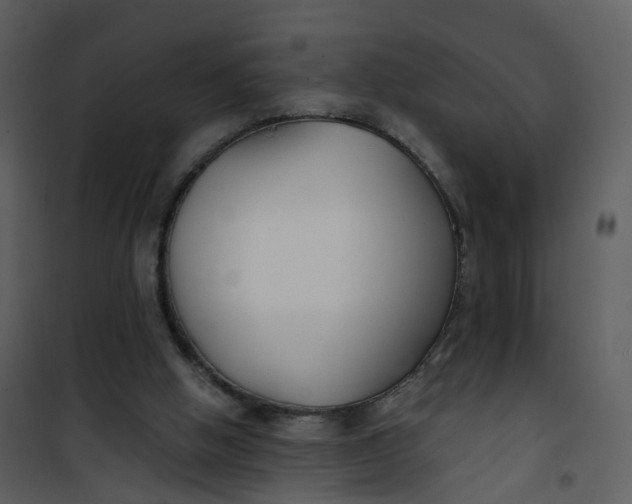 X0000101180058200807181457