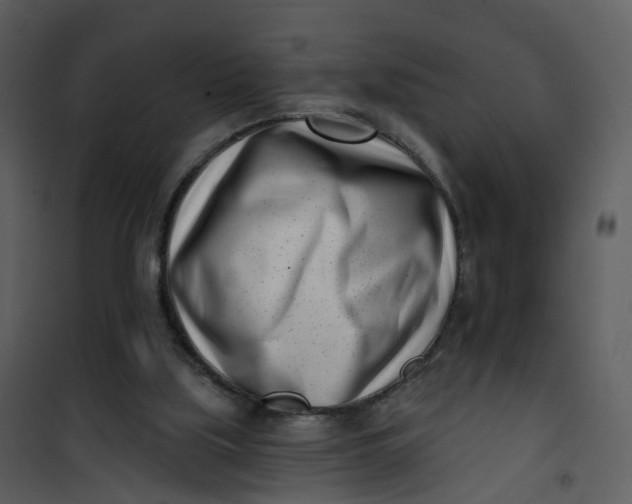 X0000101180059200807181457