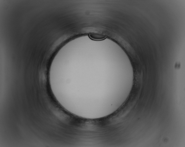 X0000101180064200807181457