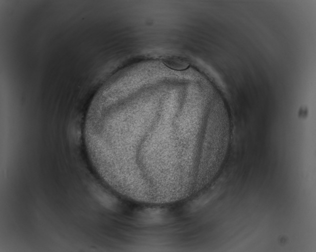 X0000101180065200807181457