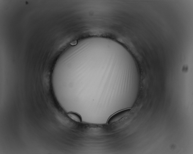 X0000101180066200807181457