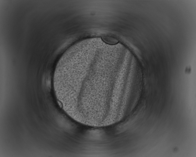 X0000101180067200807181457