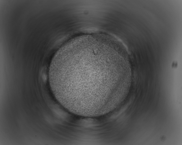 X0000101180069200807181457