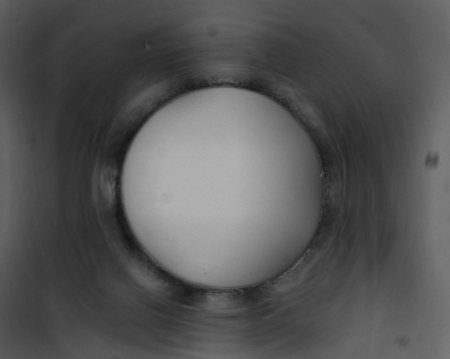 X0000101180070200807181457