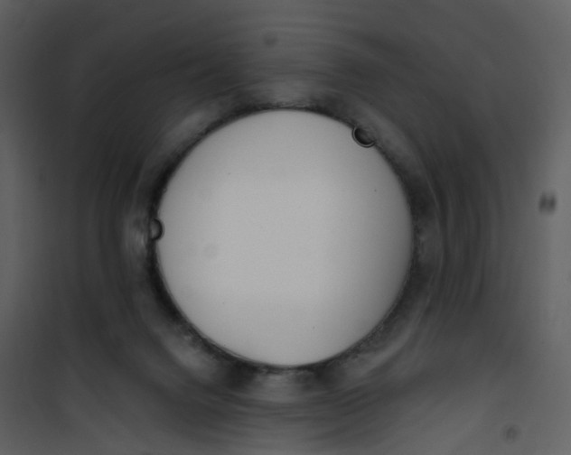 X0000101180072200807181457