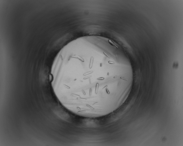 X0000101180073200807181457