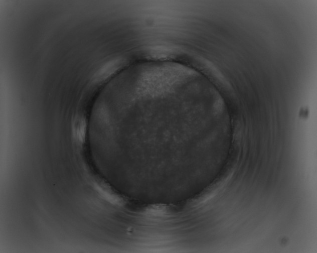 X0000101180076200807181457