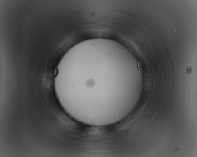 X0000101180077200807181457