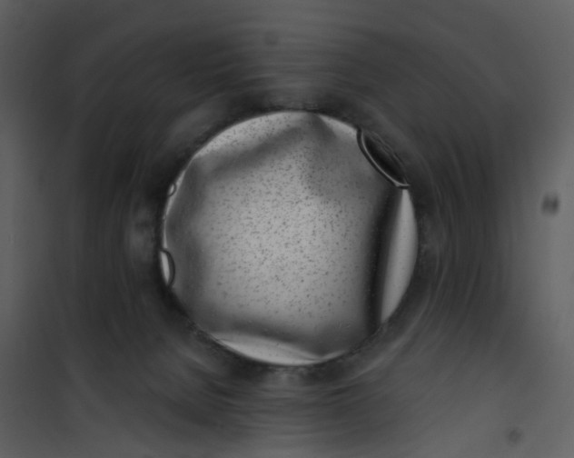 X0000101180080200807181457