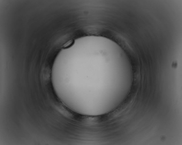 X0000101180081200807181457