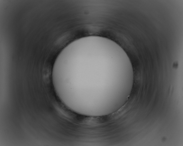 X0000101180082200807181457