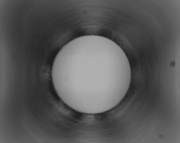 X0000101180083200807181457