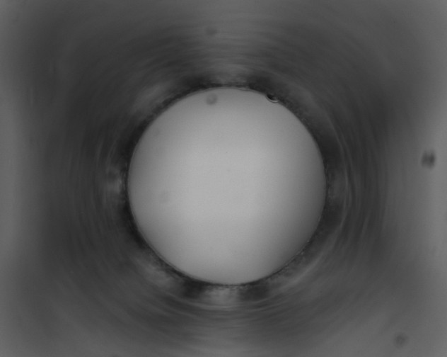 X0000101180084200807181457