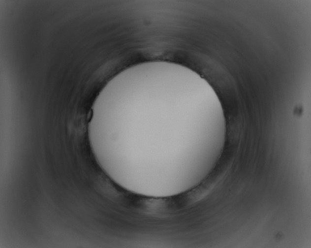 X0000101180085200807181457