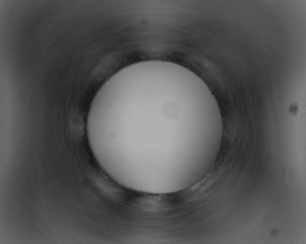 X0000101180086200807181458