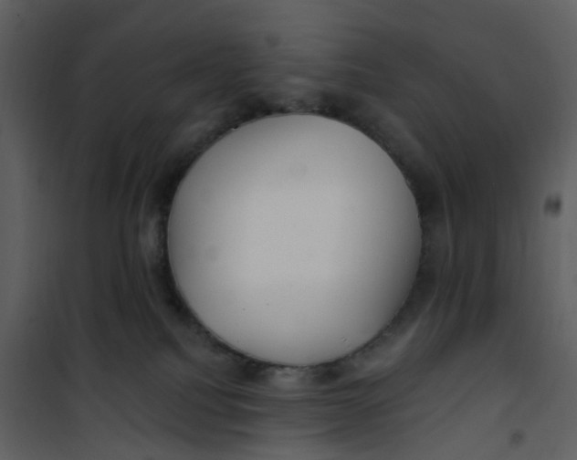 X0000101180088200807181458