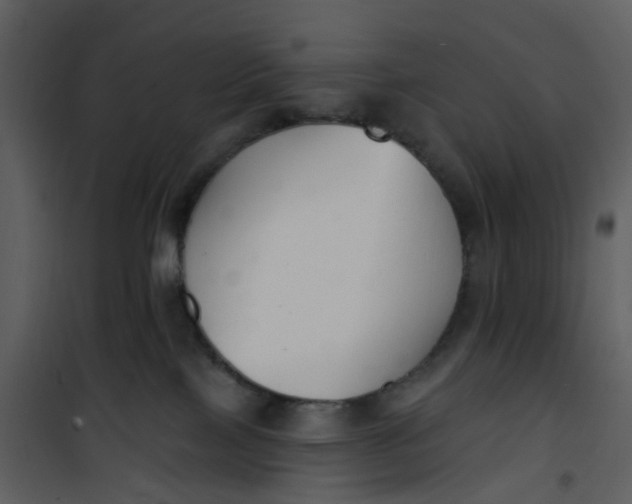 X0000101180089200807181458