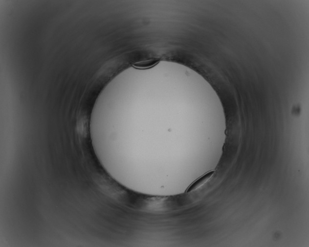 X0000101180090200807181458